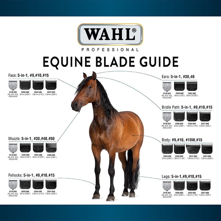 Equine_Blade_Guide_Thumbnail