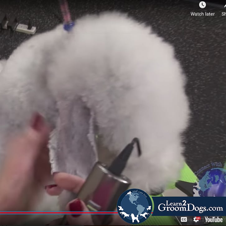 Learn to groom Video Thumbnails-02